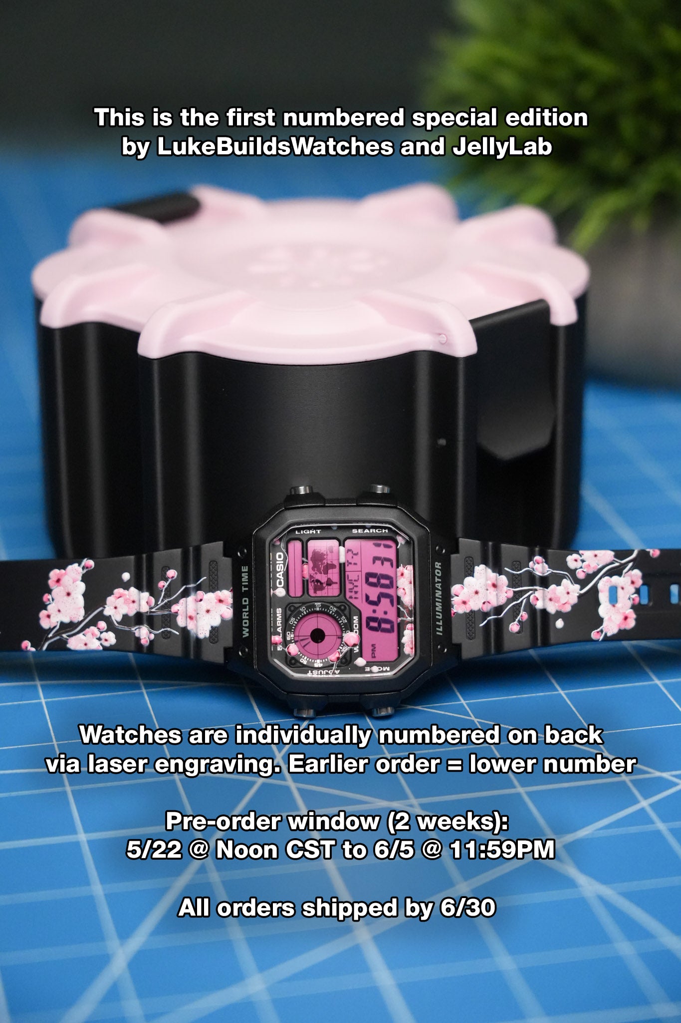 "Cherry Blossom" Casio Royale